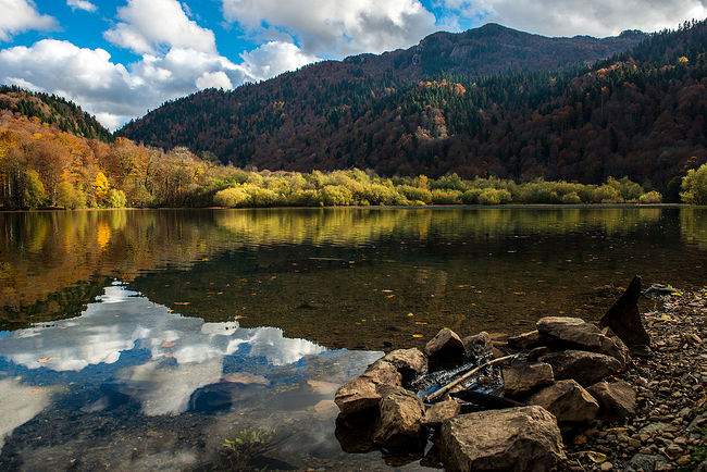 Ekaterina Burakova-Scekic. Montenegro. Биоградское озеро