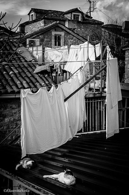 Ekaterina Burakova-Scekic. Black-white Montenegro. Без названия