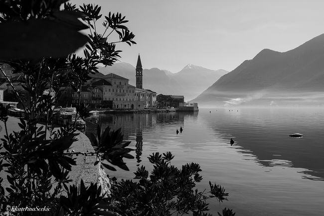 Ekaterina Burakova-Scekic. Black-white Montenegro. Без названия