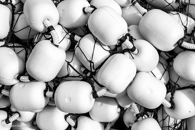 Ekaterina Burakova-Scekic. Black-white Montenegro. Без названия