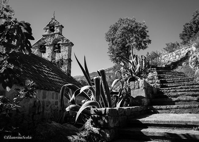 Ekaterina Burakova-Scekic. Black-white Montenegro. Без названия