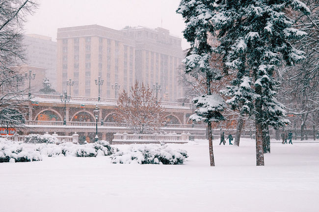 Ekaterina Burakova-Scekic. Moscow. Москва.
