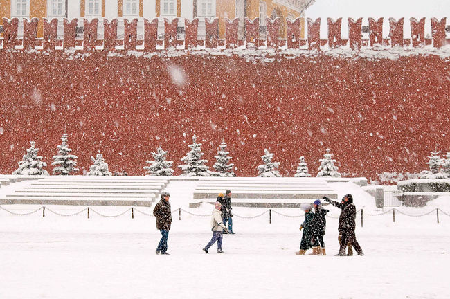 Ekaterina Burakova-Scekic. Moscow. Москва.