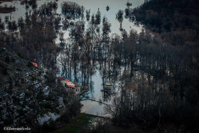 Ekaterina Burakova-Scekic. Montenegro. Без названия