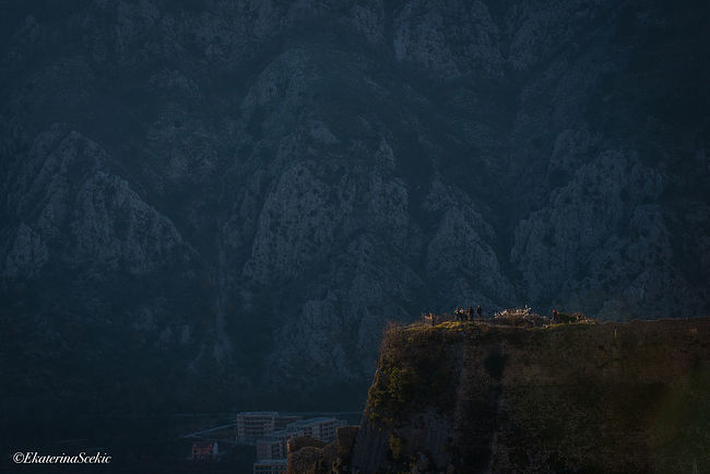 Ekaterina Burakova-Scekic. Montenegro. Без названия