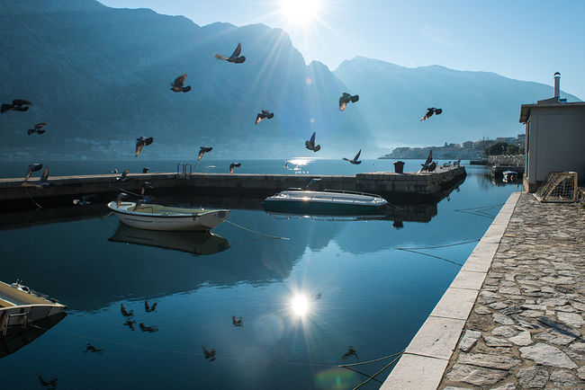 Ekaterina Burakova-Scekic. Montenegro. Без названия