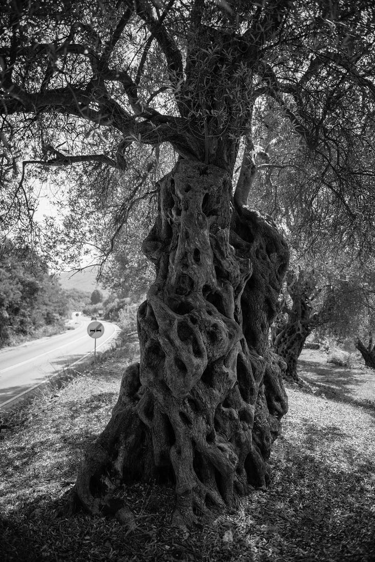 Ekaterina Burakova-Scekic. Black-white Montenegro. Без названия
