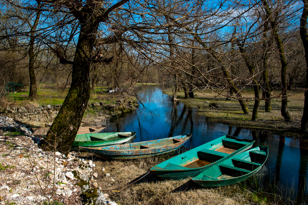 Ekaterina Burakova-Scekic. Montenegro. Без названия