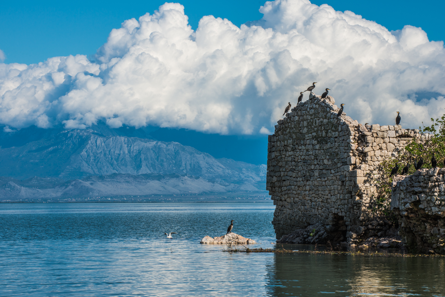 Ekaterina Burakova-Scekic. Montenegro. Без названия