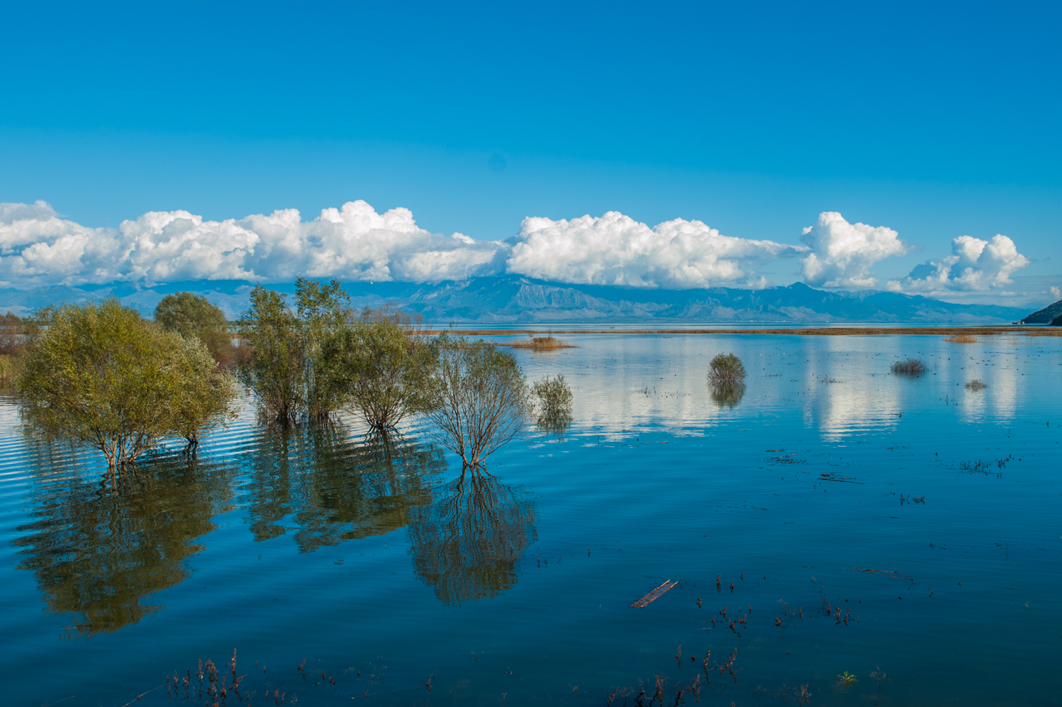 Ekaterina Burakova-Scekic. Montenegro. Без названия