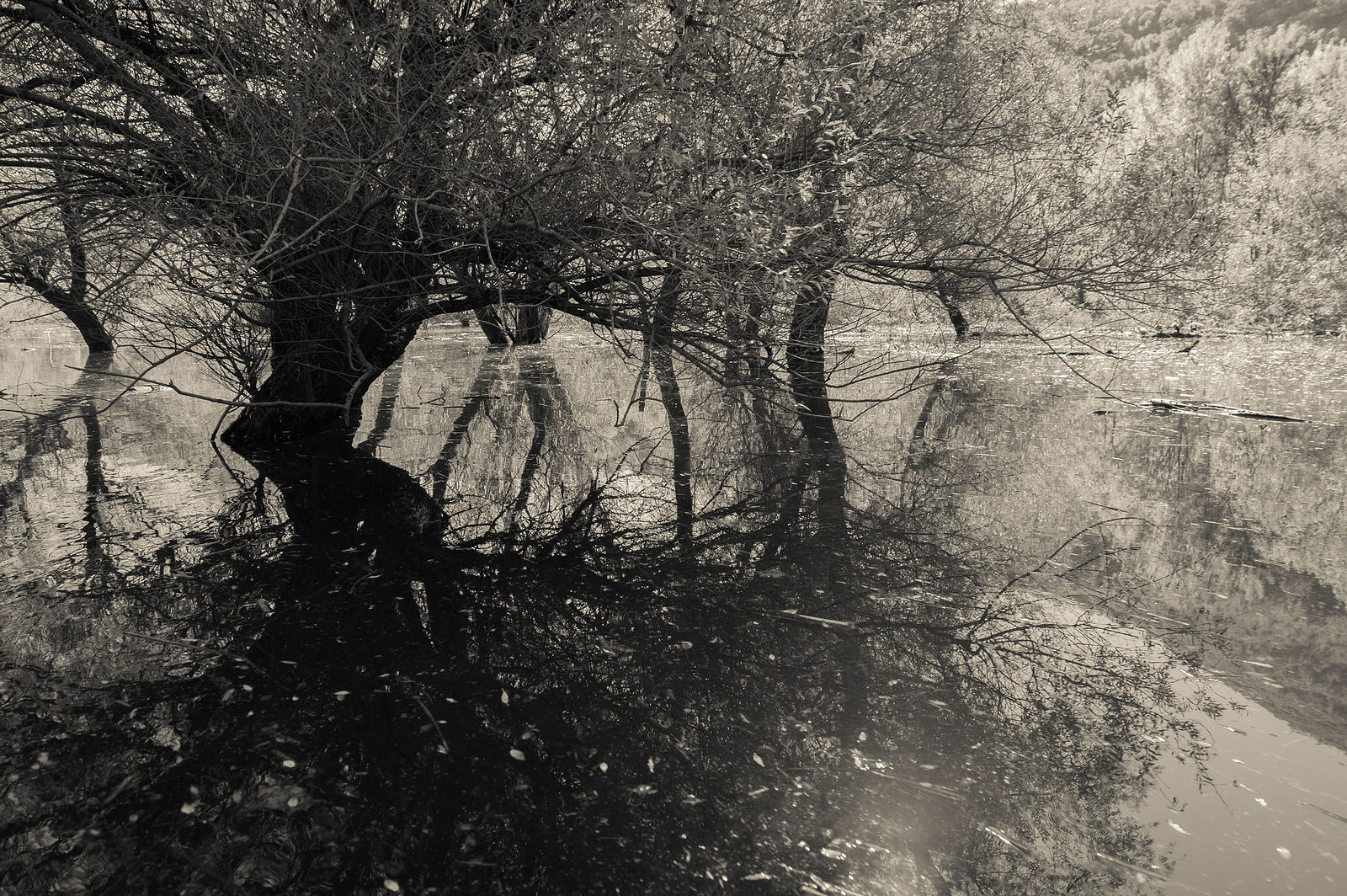 Ekaterina Burakova-Scekic. Black-white Montenegro. Без названия