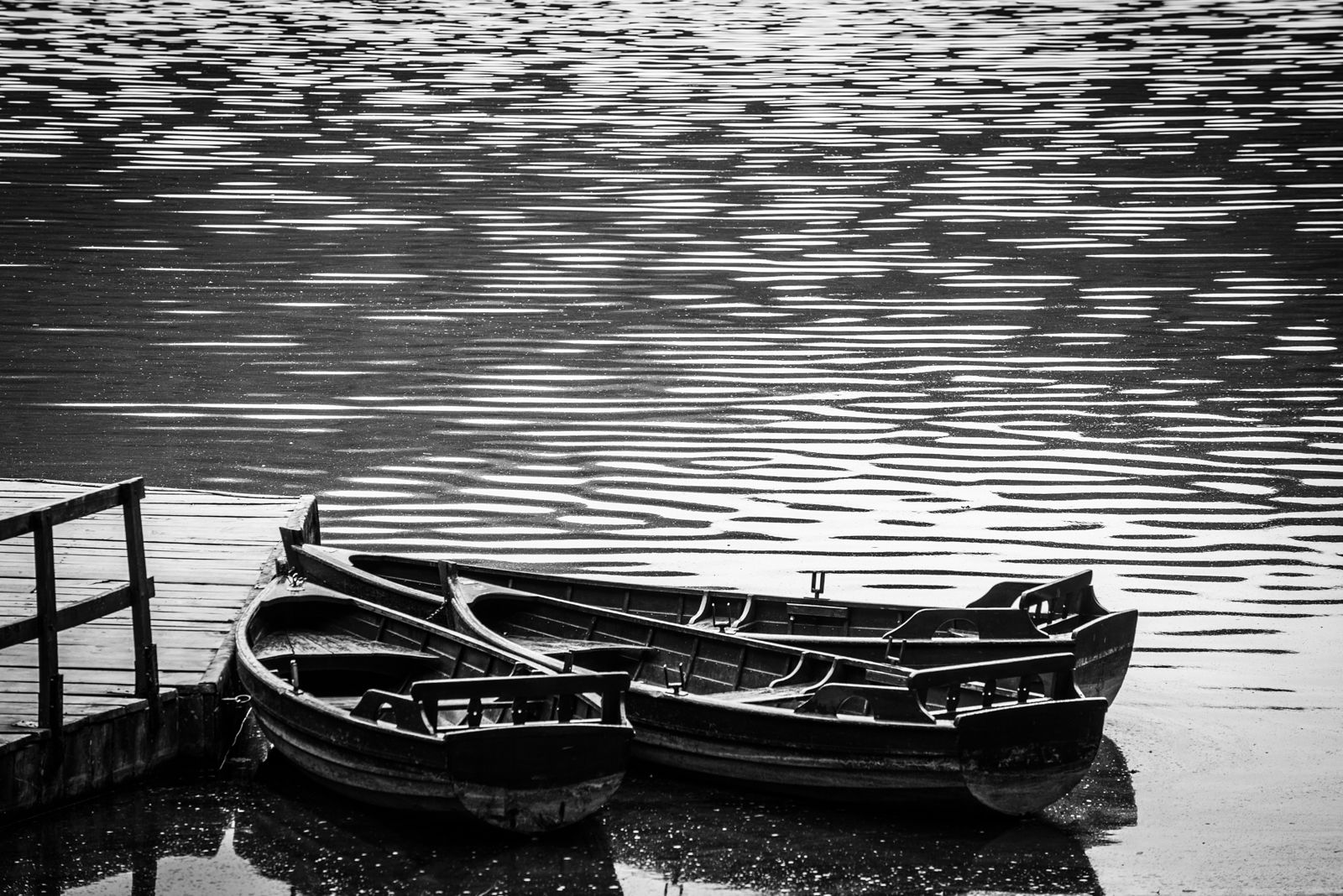 Ekaterina Burakova-Scekic. Black-white Montenegro. Без названия