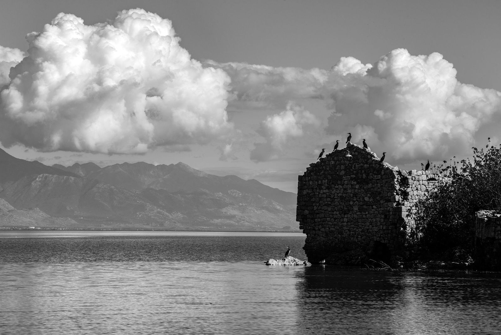Ekaterina Burakova-Scekic. Black-white Montenegro. Без названия