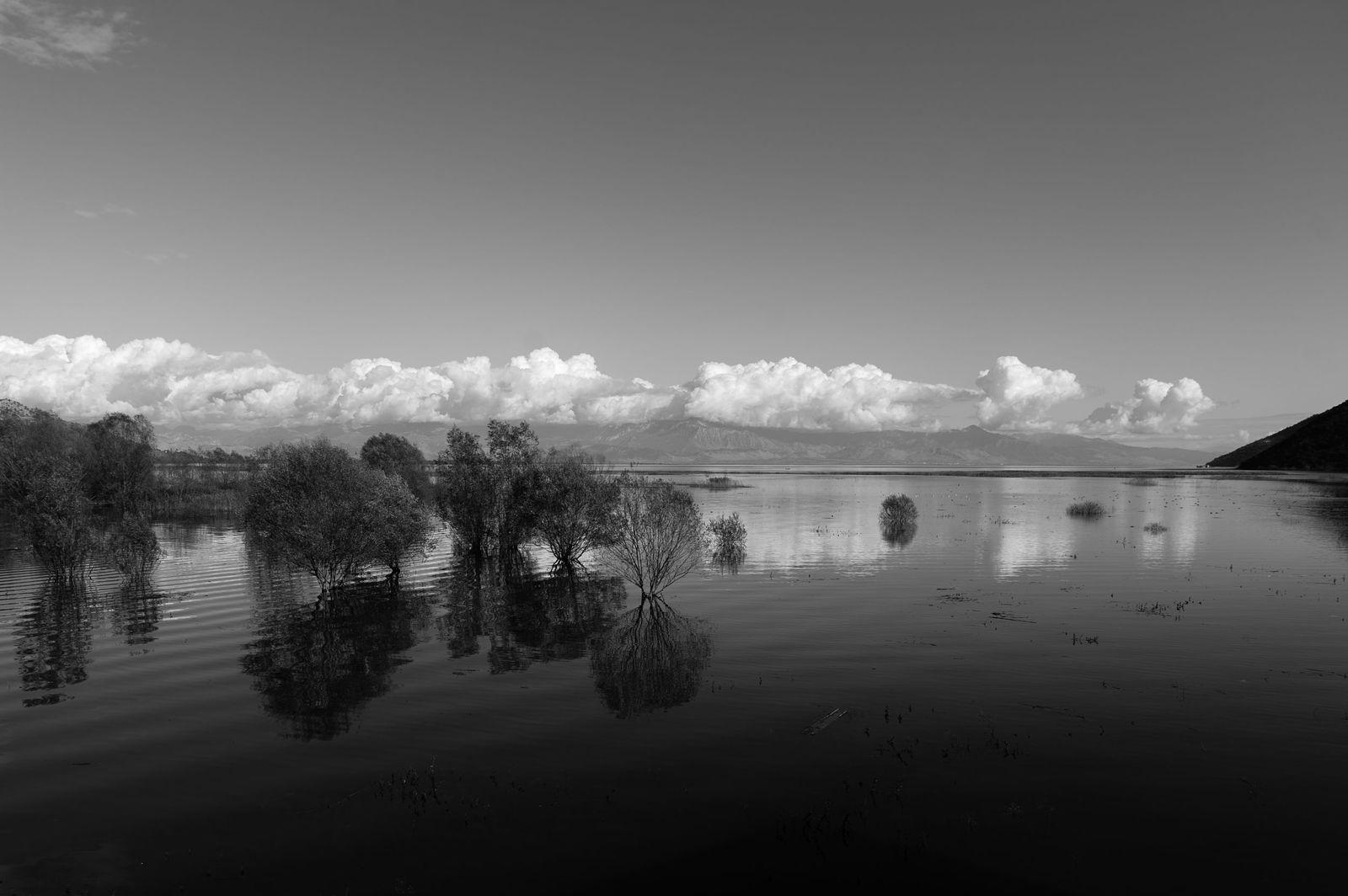 Ekaterina Burakova-Scekic. Black-white Montenegro. Без названия