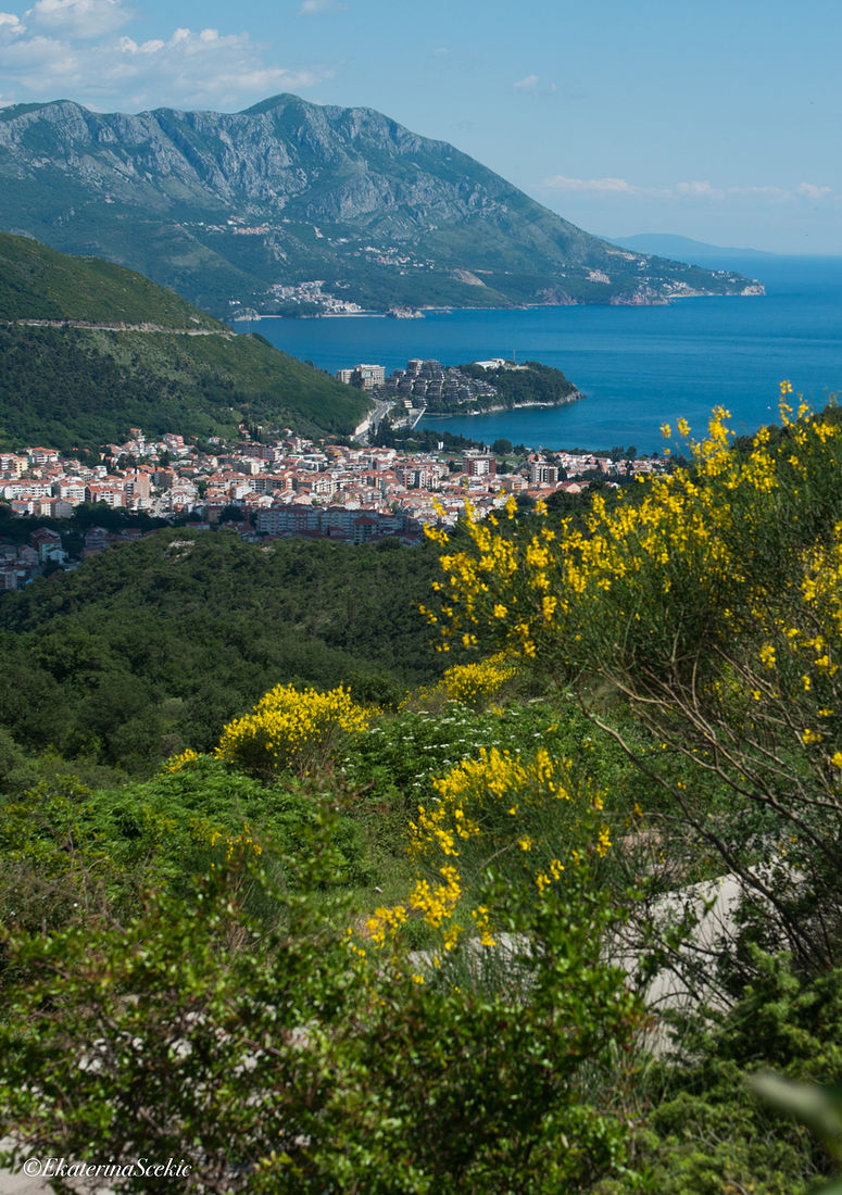 Ekaterina Burakova-Scekic. Montenegro. Без названия