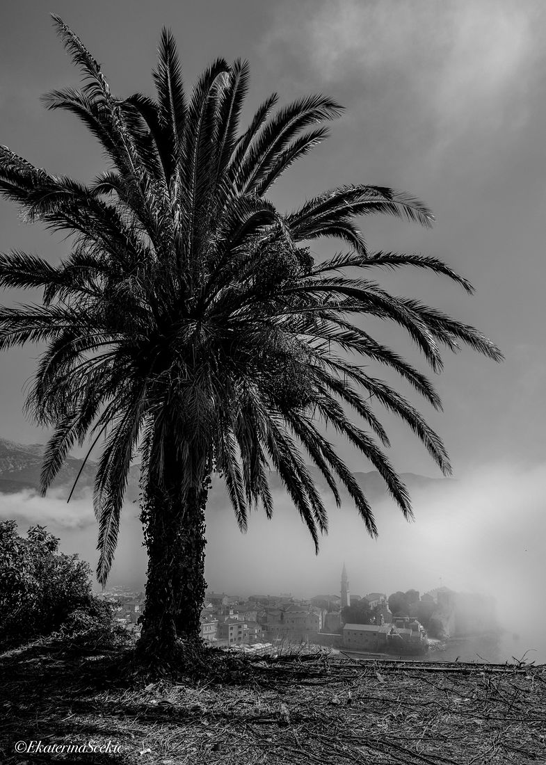 Ekaterina Burakova-Scekic. Black-white Montenegro. Без названия