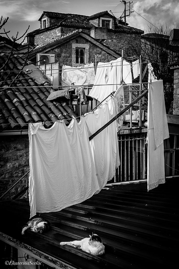 Ekaterina Burakova-Scekic. Black-white Montenegro. Без названия