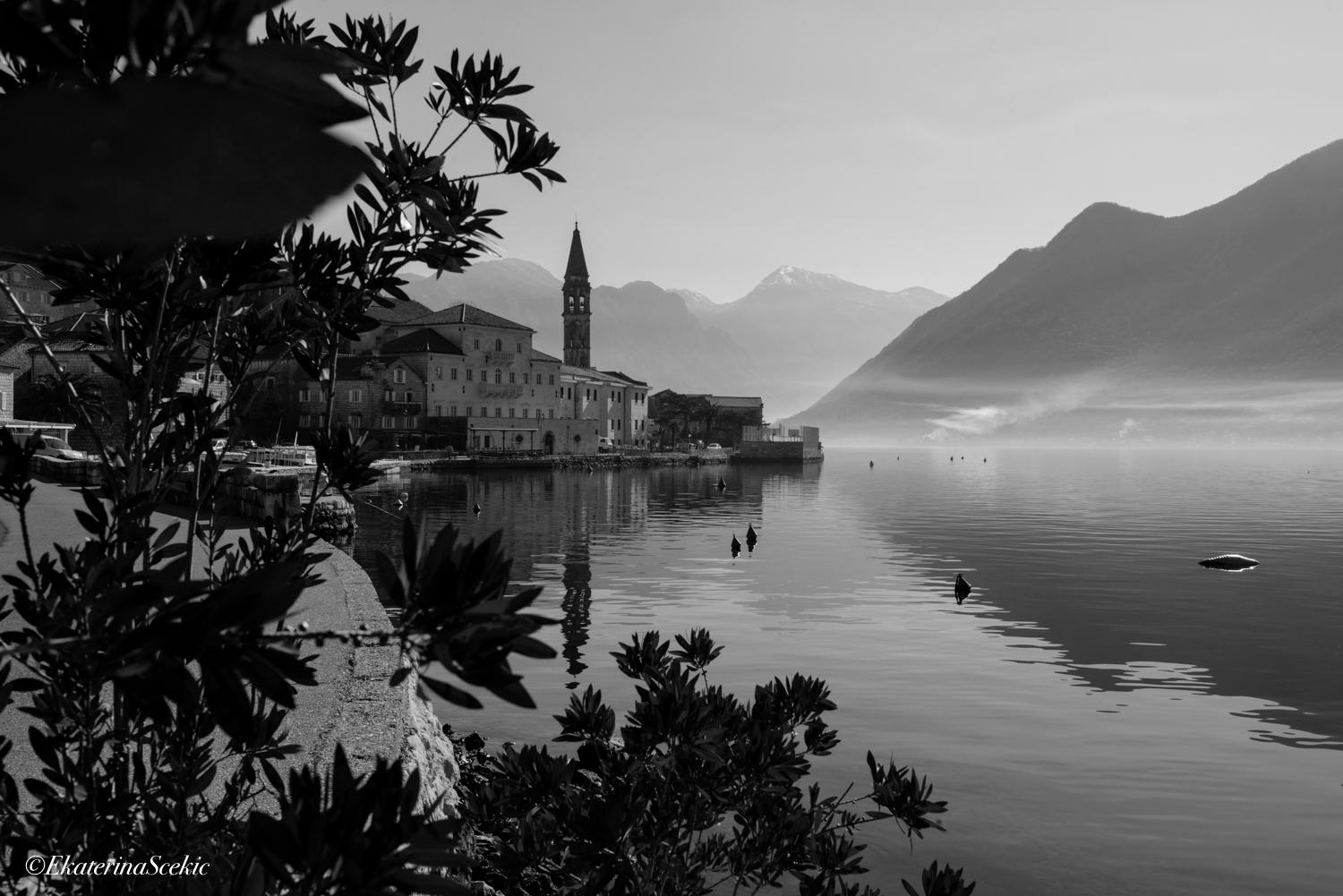 Ekaterina Burakova-Scekic. Black-white Montenegro. Без названия
