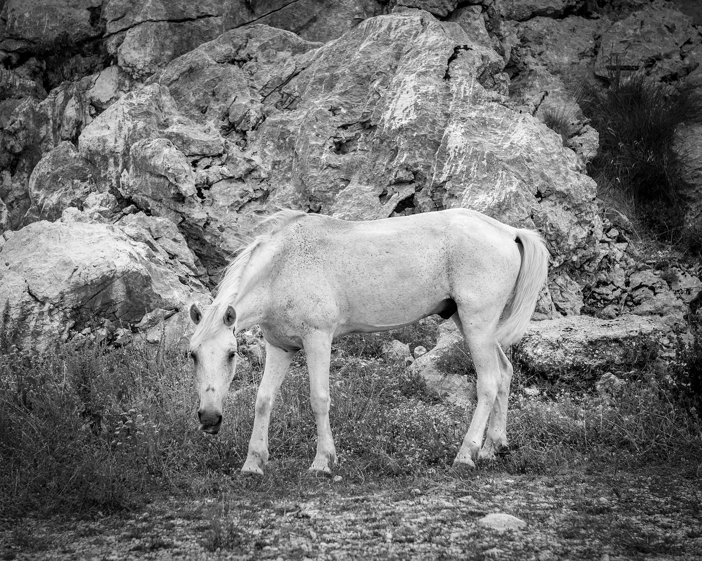 Ekaterina Burakova-Scekic. Black-white Montenegro. Без названия