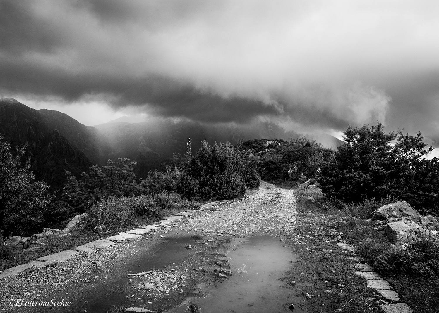 Ekaterina Burakova-Scekic. Black-white Montenegro. Без названия