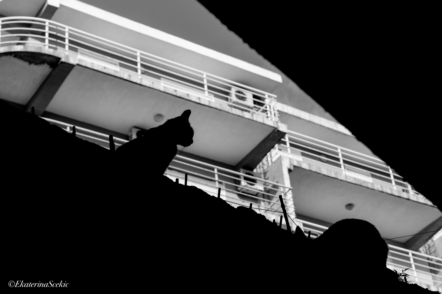 Ekaterina Burakova-Scekic. Black-white Montenegro. Без названия