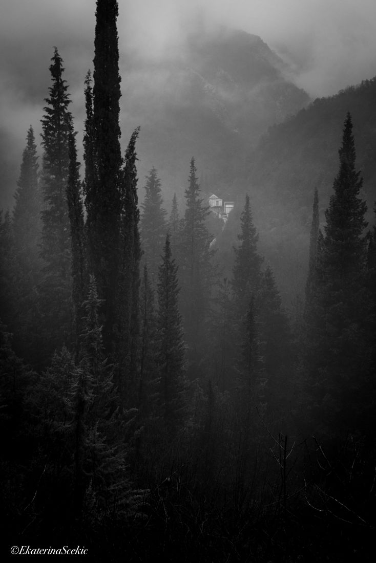 Ekaterina Burakova-Scekic. Black-white Montenegro. Туман