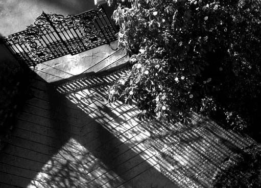 Ekaterina Burakova-Scekic. Moscow. Untitled