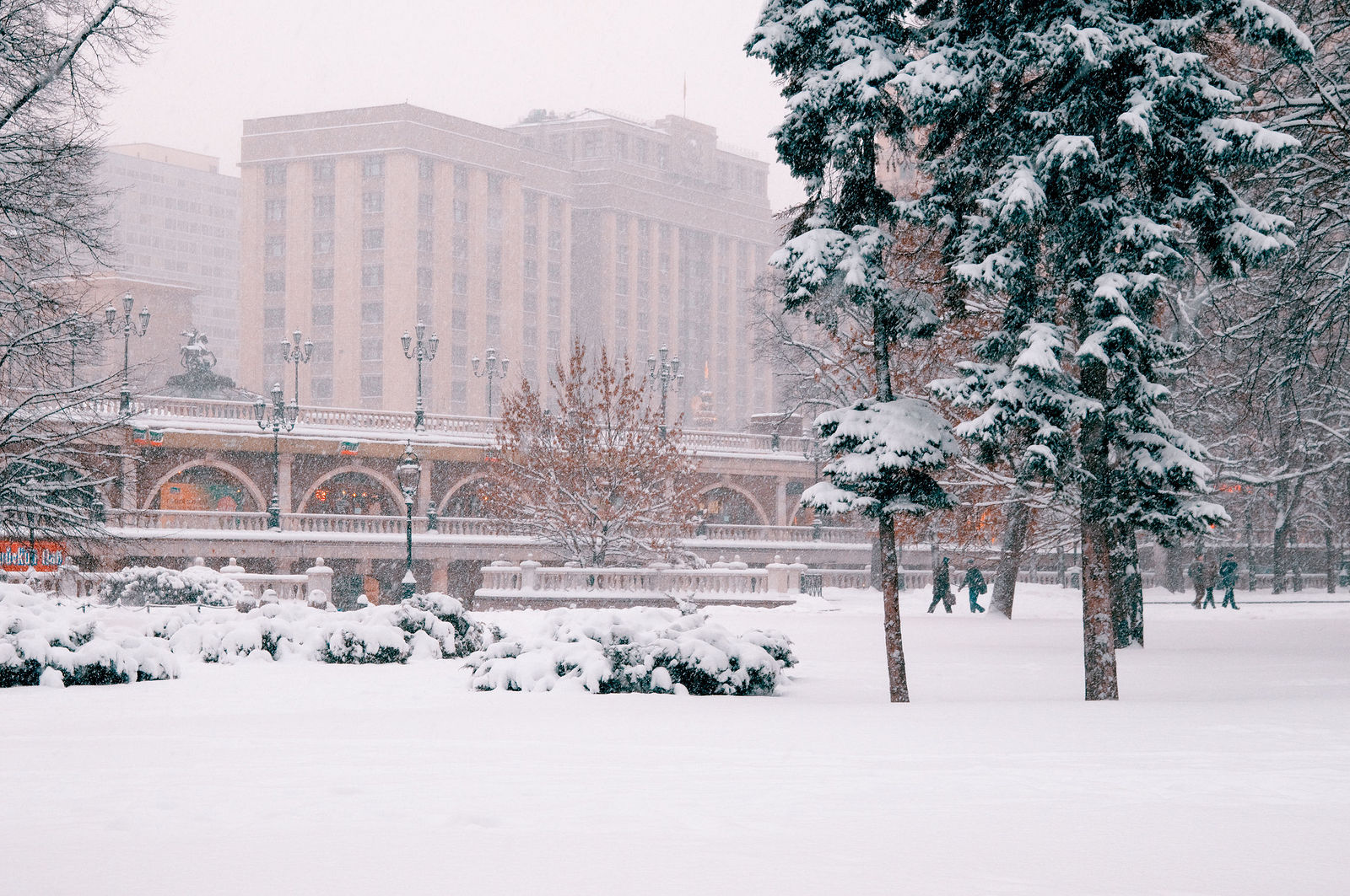 Ekaterina Burakova-Scekic. Moscow. Москва.