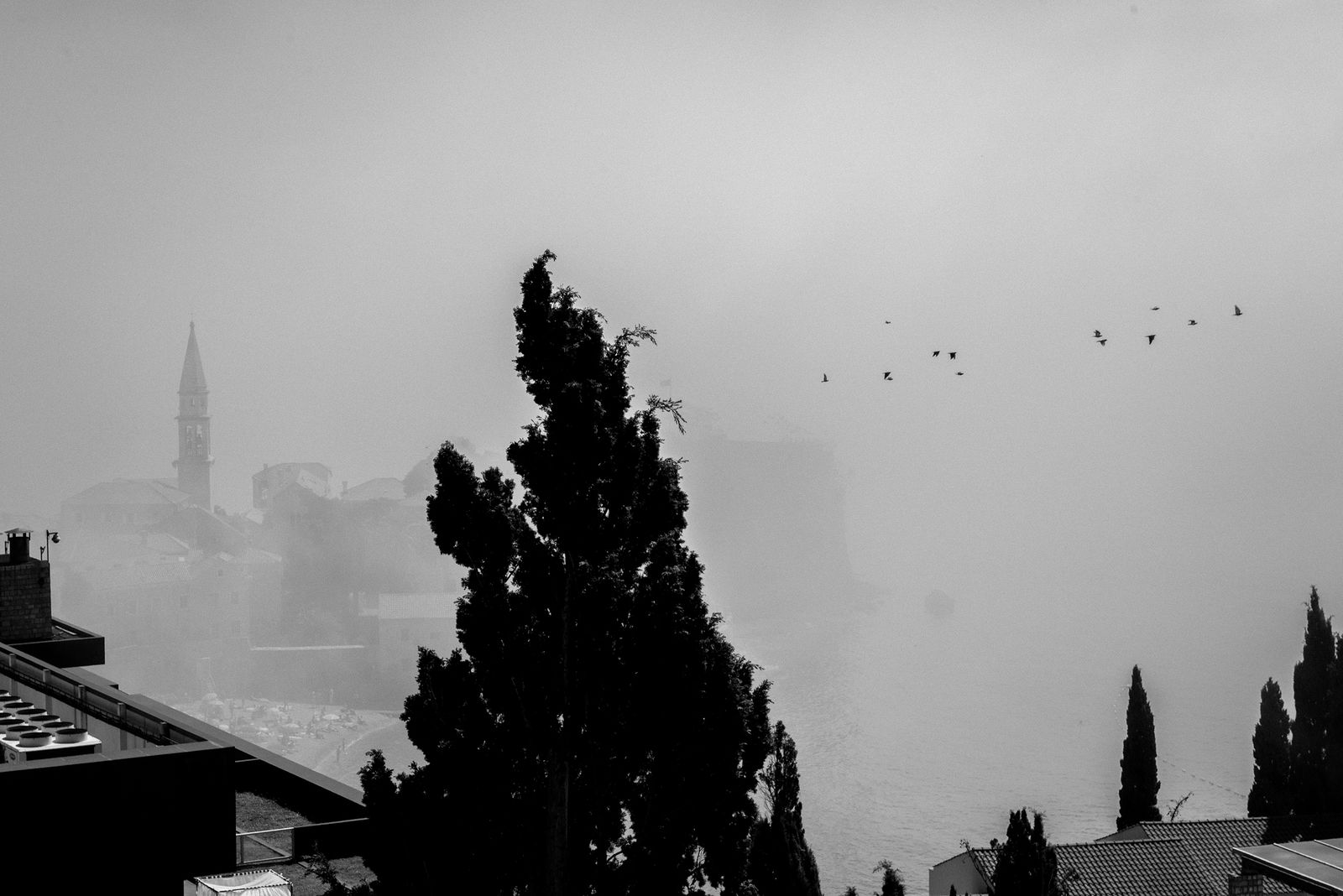 Ekaterina Burakova-Scekic. Black-white Montenegro. Budva