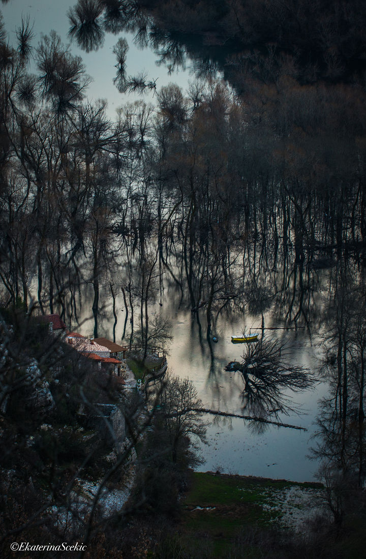 Ekaterina Burakova-Scekic. Montenegro. Без названия