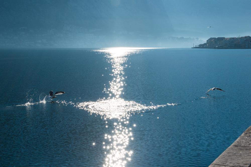 Ekaterina Burakova-Scekic. Montenegro. Early morning. The Kotor bay.