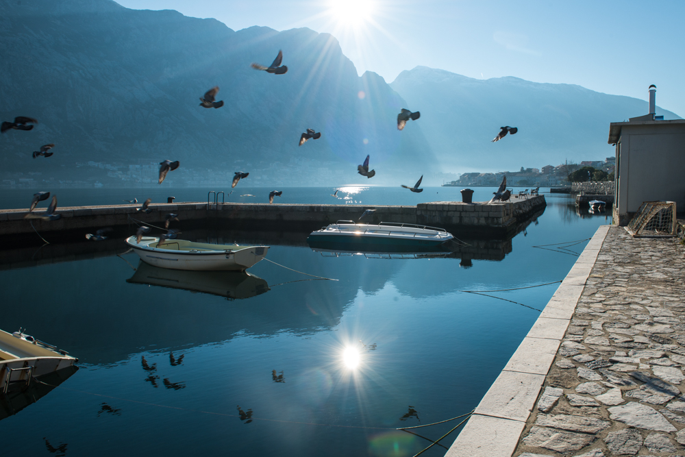 Ekaterina Burakova-Scekic. Montenegro. Без названия